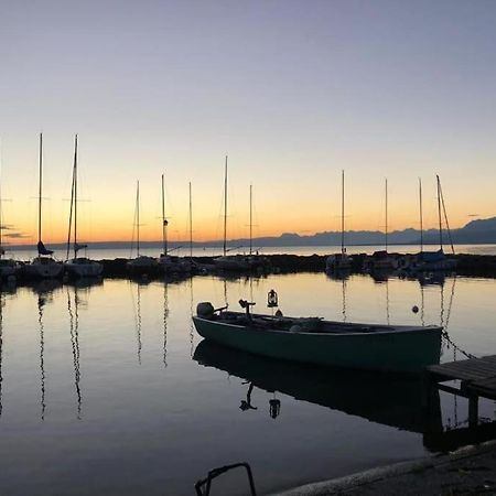 Villa Moderne, A 2 Pas Du Lac Leman Sciez Exterior photo